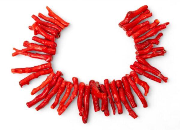 Natural Branch Coral 21 t oz 34 PCS