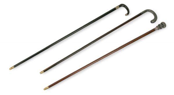 European Walking Sticks 3 PCS